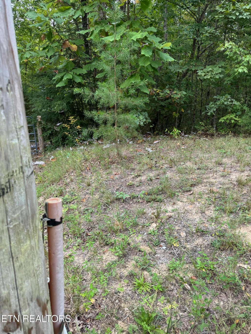 Photo of Wildcat Rd, Jamestown, TN 38556 (MLS # 1356125)