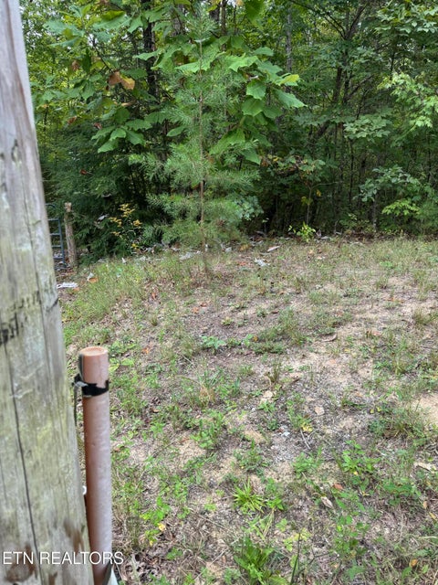 Tiny photo for Wildcat Rd, Jamestown, TN 38556 (MLS # 1356125)