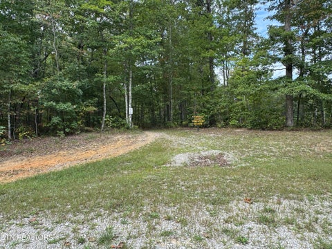 Tiny photo for Wildcat Rd, Jamestown, TN 38556 (MLS # 1356125)