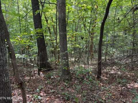 Tiny photo for Wildcat Rd, Jamestown, TN 38556 (MLS # 1356125)