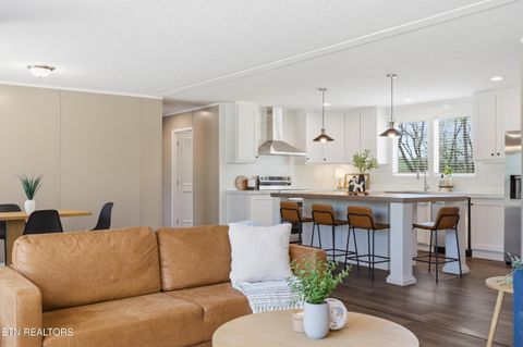 Tiny photo for 7265 Schaad Rd, Knoxville, TN 37931 (MLS # 1335659)