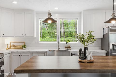 Tiny photo for 7265 Schaad Rd, Knoxville, TN 37931 (MLS # 1335659)