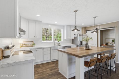 Tiny photo for 7265 Schaad Rd, Knoxville, TN 37931 (MLS # 1335659)