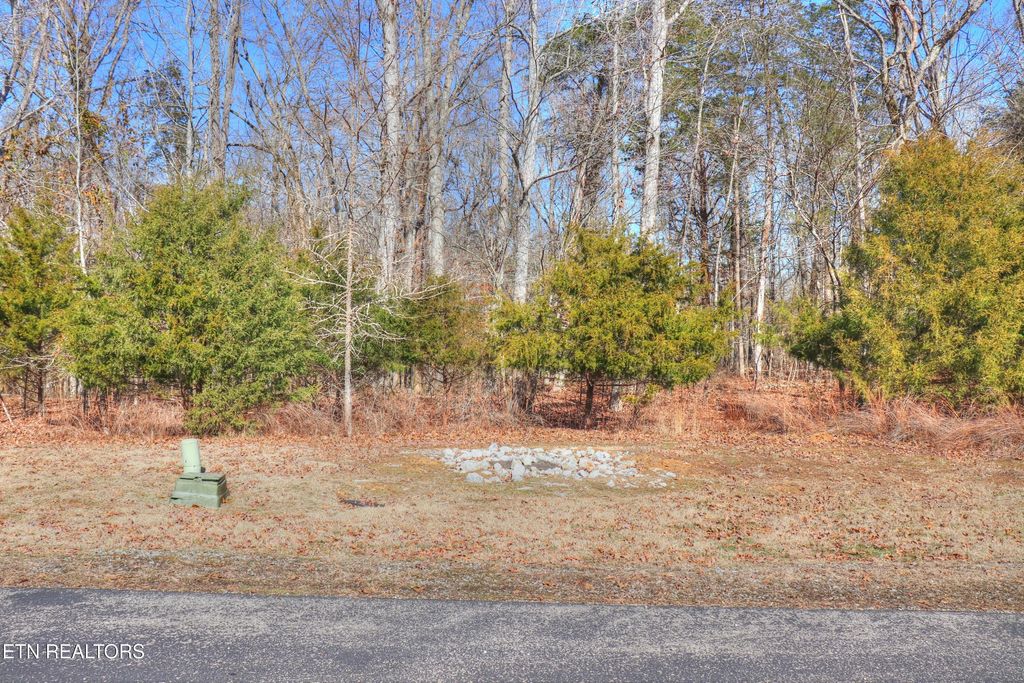 Photo of 151 E Shore Drive, Rockwood, TN 37854 (MLS # 1288928)