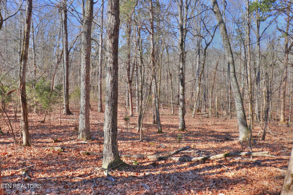 Photo of 151 E Shore Drive, Rockwood, TN 37854 (MLS # 1288928)