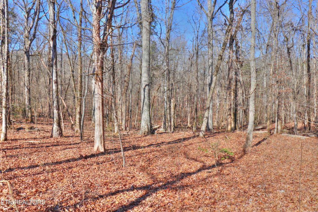 Photo of 151 E Shore Drive, Rockwood, TN 37854 (MLS # 1288928)