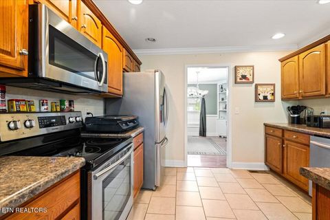 Tiny photo for 122 Michael Lane, Jacksboro, TN 37757 (MLS # 1335457)