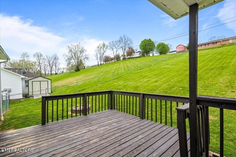 Tiny photo for 122 Michael Lane, Jacksboro, TN 37757 (MLS # 1335457)