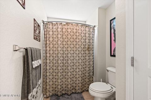 Tiny photo for 122 Michael Lane, Jacksboro, TN 37757 (MLS # 1335457)