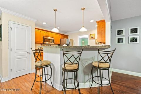 Tiny photo for 122 Michael Lane, Jacksboro, TN 37757 (MLS # 1335457)