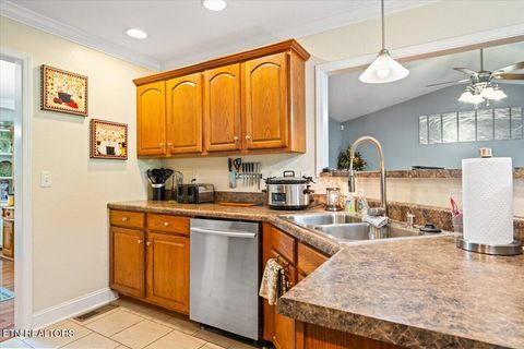 Tiny photo for 122 Michael Lane, Jacksboro, TN 37757 (MLS # 1335457)