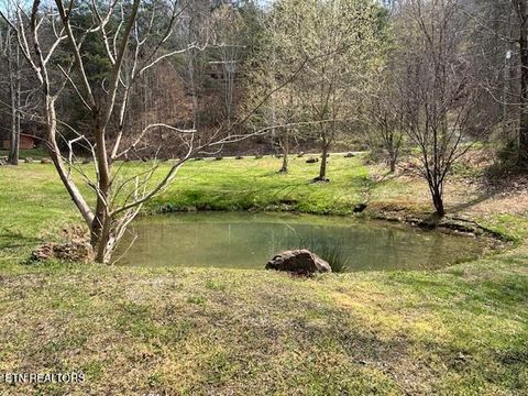 Tiny photo for 1069 Bryan View Rd, Sevierville, TN 37862 (MLS # 1333631)