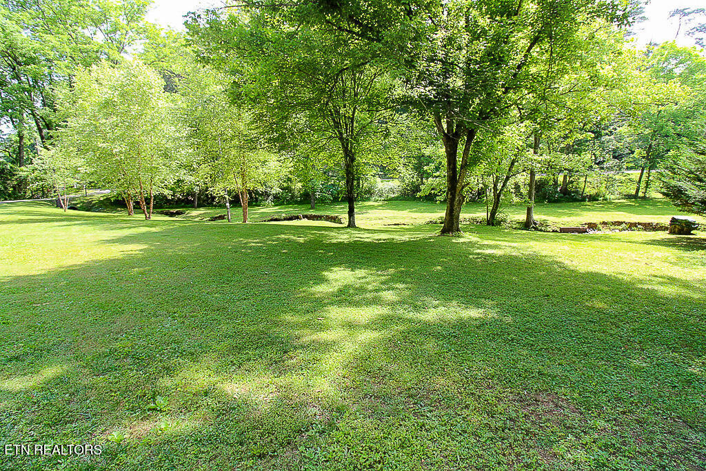 1964 Goose Gap Rd