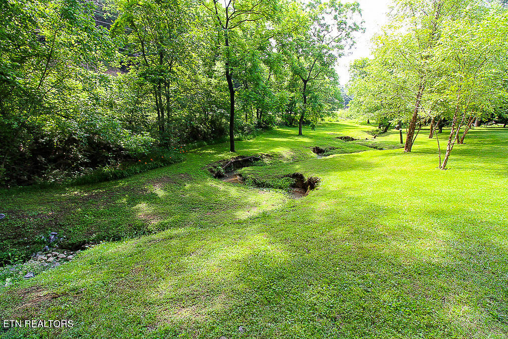 1964 Goose Gap Rd