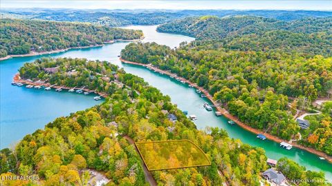 Photo of 0 Stoney Rock Lane, Jacksboro, TN 37757 (MLS # 1318134)