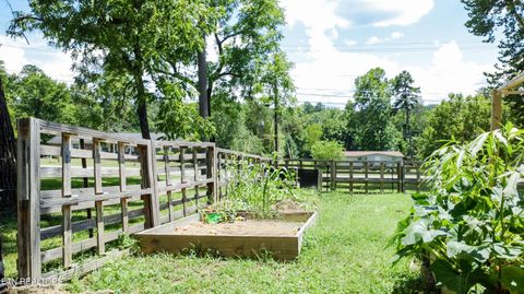 Tiny photo for 9615 Smoky Row Rd, Strawberry Plains, TN 37871 (MLS # 1334059)