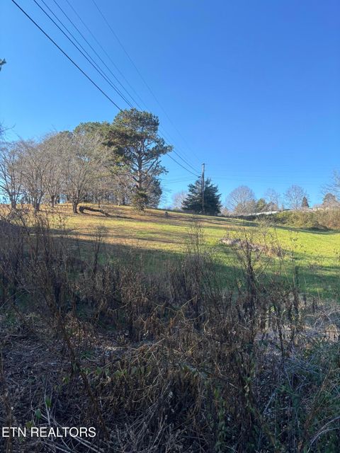 Photo of WALNUT CIRCLE, New Tazewell, TN 37825 (MLS # 1323102)