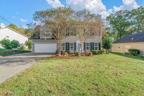 Photo of 707 Dunnview Lane, Knoxville, TN 37934 (MLS # 1320248)