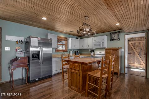 Tiny photo for 4368 River Rd, Ten Mile, TN 37880 (MLS # 1329480)