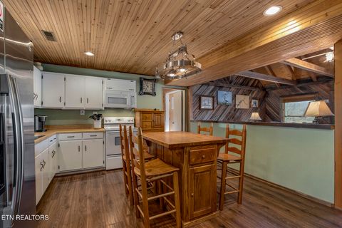 Tiny photo for 4368 River Rd, Ten Mile, TN 37880 (MLS # 1329480)