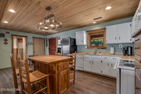 Tiny photo for 4368 River Rd, Ten Mile, TN 37880 (MLS # 1329480)