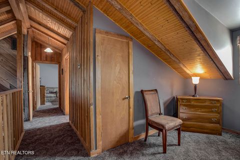 Tiny photo for 4368 River Rd, Ten Mile, TN 37880 (MLS # 1329480)