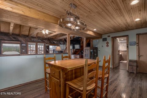 Tiny photo for 4368 River Rd, Ten Mile, TN 37880 (MLS # 1329480)