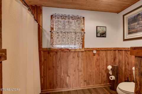 Tiny photo for 4368 River Rd, Ten Mile, TN 37880 (MLS # 1329480)