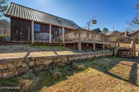 Tiny photo for 4368 River Rd, Ten Mile, TN 37880 (MLS # 1329480)