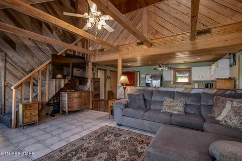 Tiny photo for 4368 River Rd, Ten Mile, TN 37880 (MLS # 1329480)