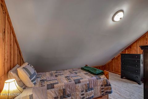 Tiny photo for 4368 River Rd, Ten Mile, TN 37880 (MLS # 1329480)