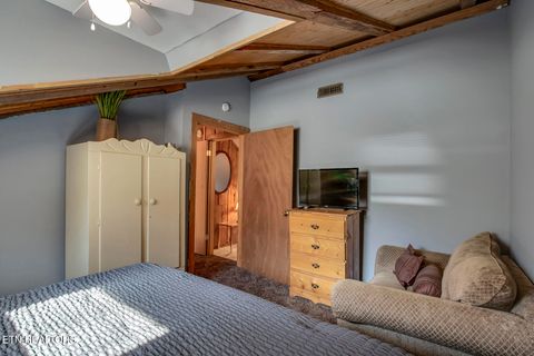 Tiny photo for 4368 River Rd, Ten Mile, TN 37880 (MLS # 1329480)