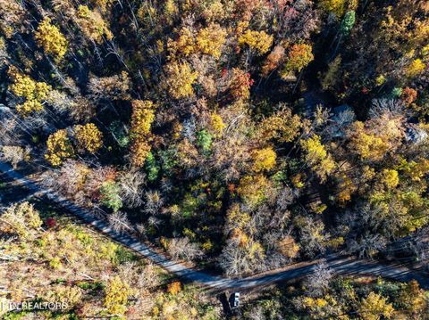 Tiny photo for 1032 Deep Hollow Road, Gatlinburg, TN 37738 (MLS # 1321587)