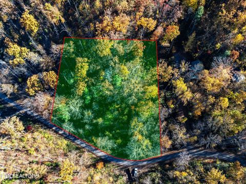 Tiny photo for 1032 Deep Hollow Road, Gatlinburg, TN 37738 (MLS # 1321587)