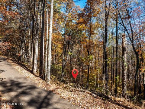 Photo of 1032 Deep Hollow Road, Gatlinburg, TN 37738 (MLS # 1321587)