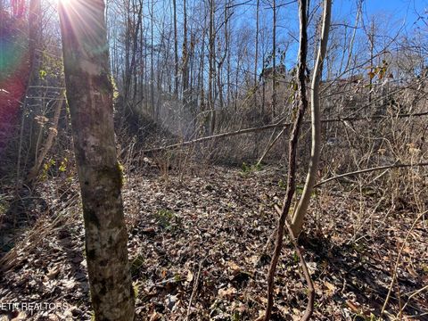 Tiny photo for 1032 Deep Hollow Road, Gatlinburg, TN 37738 (MLS # 1321587)