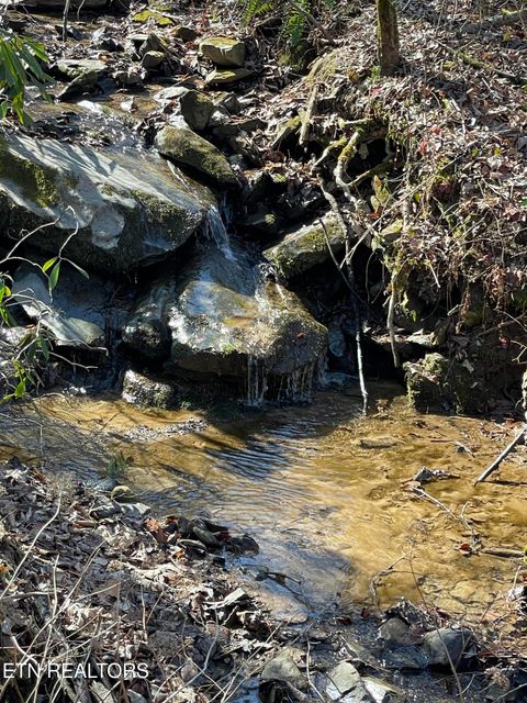 Tiny photo for 1032 Deep Hollow Road, Gatlinburg, TN 37738 (MLS # 1321587)