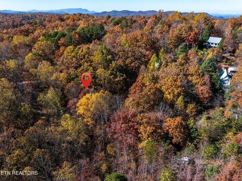 Tiny photo for 1032 Deep Hollow Road, Gatlinburg, TN 37738 (MLS # 1321587)