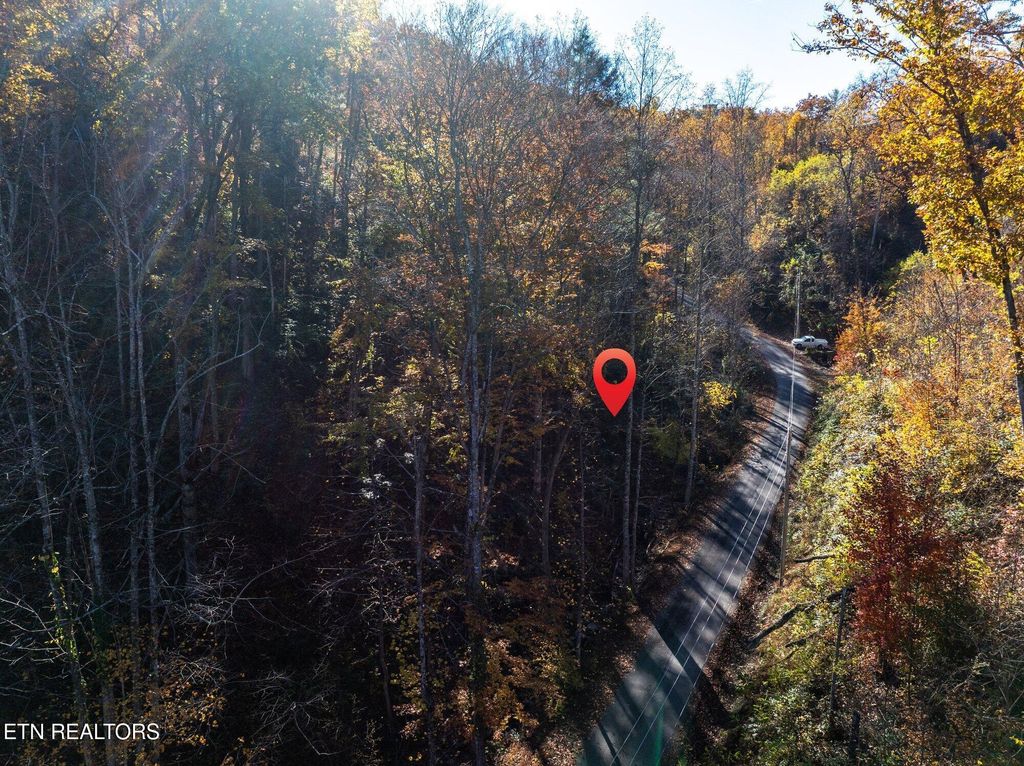Photo of 1032 Deep Hollow Road, Gatlinburg, TN 37738 (MLS # 1321587)
