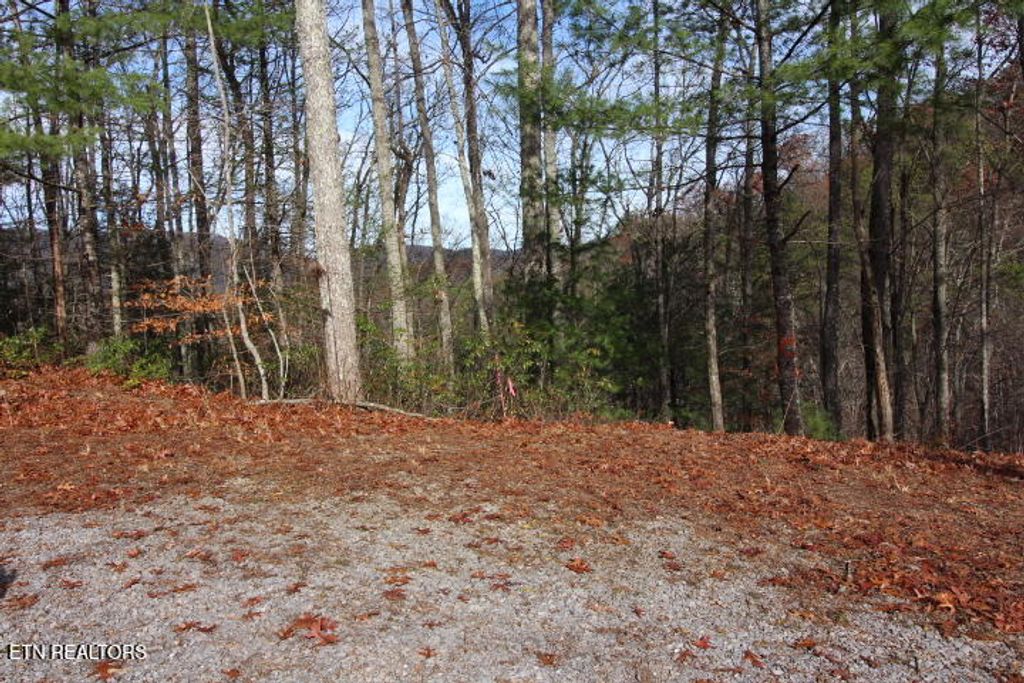 Photo of 119 Taylors Rdg Rd, Walland, TN 37886 (MLS # 1242835)