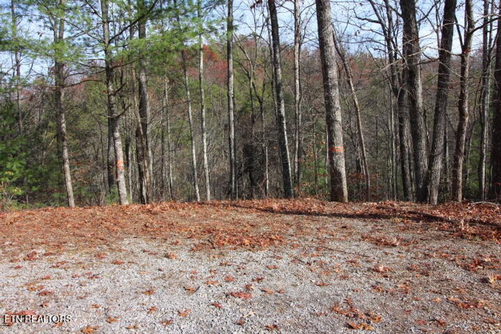 Photo of 119 Taylors Rdg Rd, Walland, TN 37886 (MLS # 1242835)