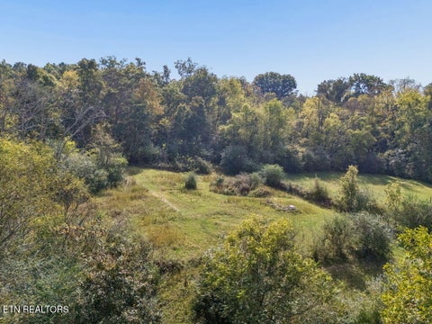 Tiny photo for 432 N Farnum St, Friendsville, TN 37737 (MLS # 1359304)