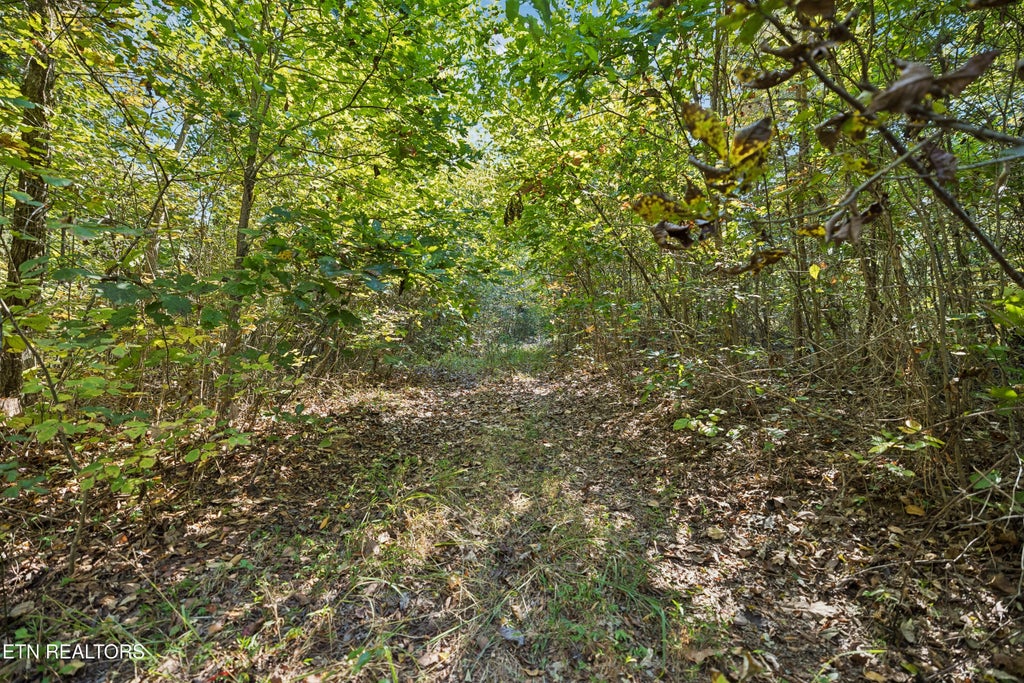 Photo of 432 N Farnum St, Friendsville, TN 37737 (MLS # 1359304)