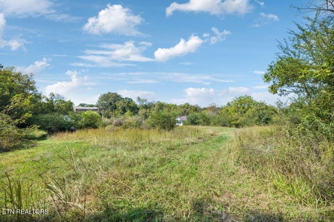 Tiny photo for 432 N Farnum St, Friendsville, TN 37737 (MLS # 1359304)