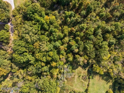 Tiny photo for 432 N Farnum St, Friendsville, TN 37737 (MLS # 1359304)