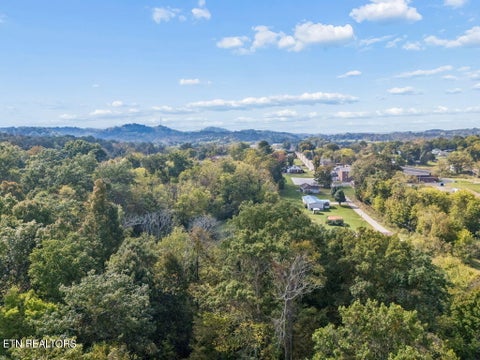 Tiny photo for 432 N Farnum St, Friendsville, TN 37737 (MLS # 1359304)