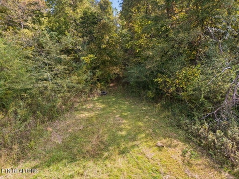 Tiny photo for 432 N Farnum St, Friendsville, TN 37737 (MLS # 1359304)