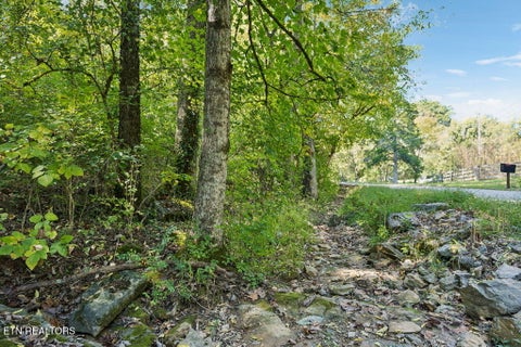 Tiny photo for 432 N Farnum St, Friendsville, TN 37737 (MLS # 1359304)