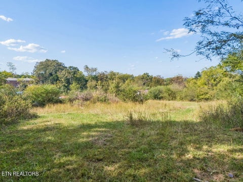Tiny photo for 432 N Farnum St, Friendsville, TN 37737 (MLS # 1359304)