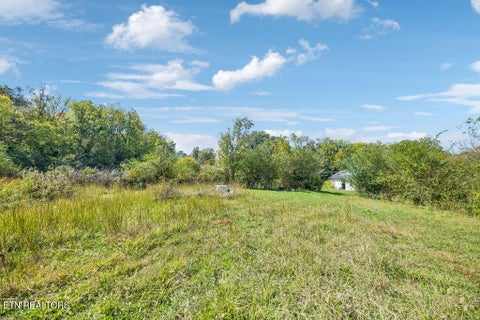 Tiny photo for 432 N Farnum St, Friendsville, TN 37737 (MLS # 1359304)